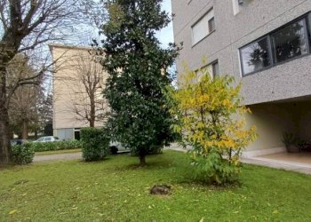 Giardino - Quadrilocale via Arno, Soliera - foto 27