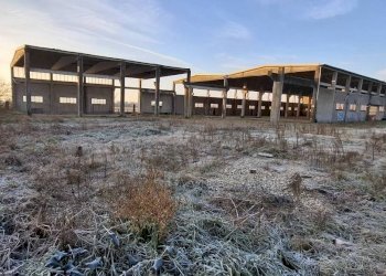 Terreno - Capannone via Santa Croce, San Martino Siccomario - foto 2