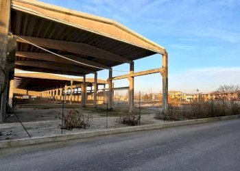 Zona - Capannone via Santa Croce, San Martino Siccomario - foto 3