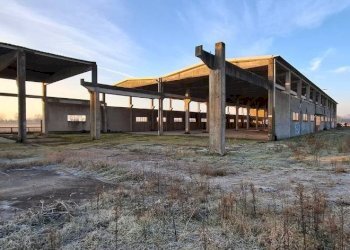 Terreno - Capannone via Santa Croce, San Martino Siccomario - foto 5