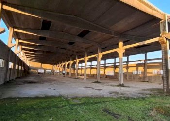 Interno non residenziale - Capannone via Santa Croce, San Martino Siccomario - foto 8