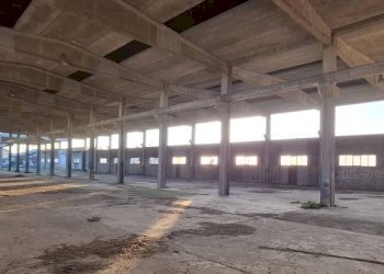 Interno non residenziale - Capannone via Santa Croce, San Martino Siccomario - foto 10