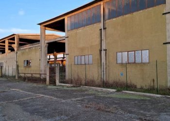 Zona - Capannone via Santa Croce, San Martino Siccomario - foto 13