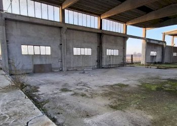 Interno non residenziale - Capannone via Santa Croce, San Martino Siccomario - foto 15