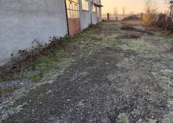 Terreno - Capannone via Santa Croce, San Martino Siccomario - foto 16