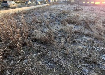 Terreno - Capannone via Santa Croce, San Martino Siccomario - foto 18