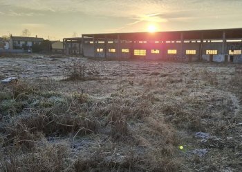 Terreno - Capannone via Santa Croce, San Martino Siccomario - foto 19