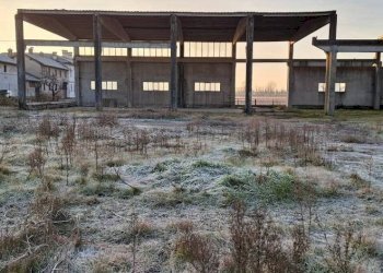 Terreno - Capannone via Santa Croce, San Martino Siccomario - foto 21