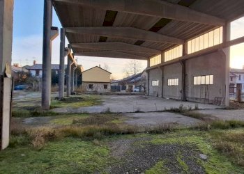 Giardino - Capannone via Santa Croce, San Martino Siccomario - foto 23