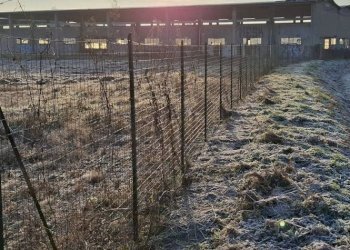 Terreno - Capannone via Santa Croce, San Martino Siccomario - foto 27