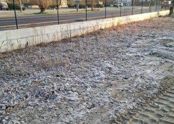 Terreno - Capannone via Santa Croce, San Martino Siccomario - foto 31