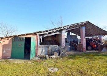 Terreno - Rustico via Cuneo, 81B, Pianfei - foto 11