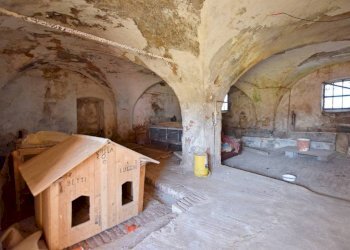 Box auto - Rustico via Cuneo, 81B, Pianfei - foto 22