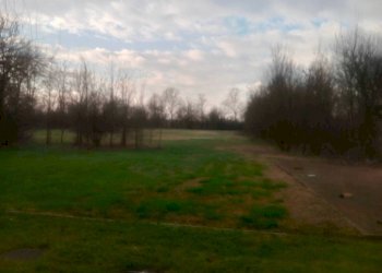 Terreno - Villa via Pecorelle, Carpi - foto 37