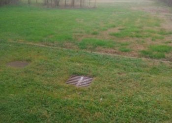 Terreno - Villa via Pecorelle, Carpi - foto 40