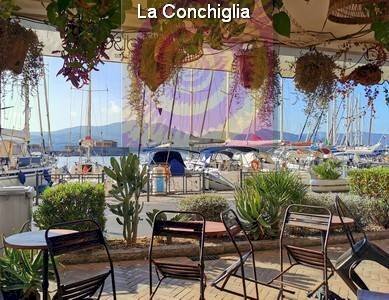 Giardino - Negozio Portoferraio - foto 3
