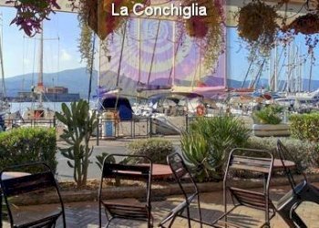 Giardino - Negozio Portoferraio - foto 4