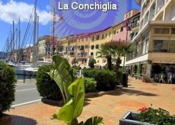 Zona - Negozio Portoferraio - foto 6