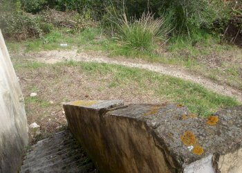 Commercial Activity Campo nell'Elba - photo 4