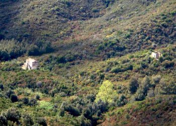 Commercial Activity Campo nell'Elba - photo 6