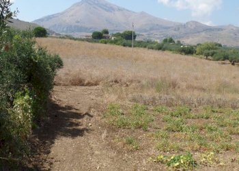 Dettagli - Rustico FRAGINESI ( Piano Cardone ), 2, Castellammare del Golfo - foto 7