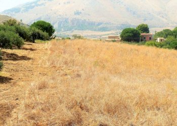 Dettagli - Rustico FRAGINESI ( Piano Cardone ), 2, Castellammare del Golfo - foto 10