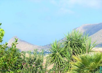 Dettagli - Rustico FRAGINESI ( Piano Cardone ), 2, Castellammare del Golfo - foto 14