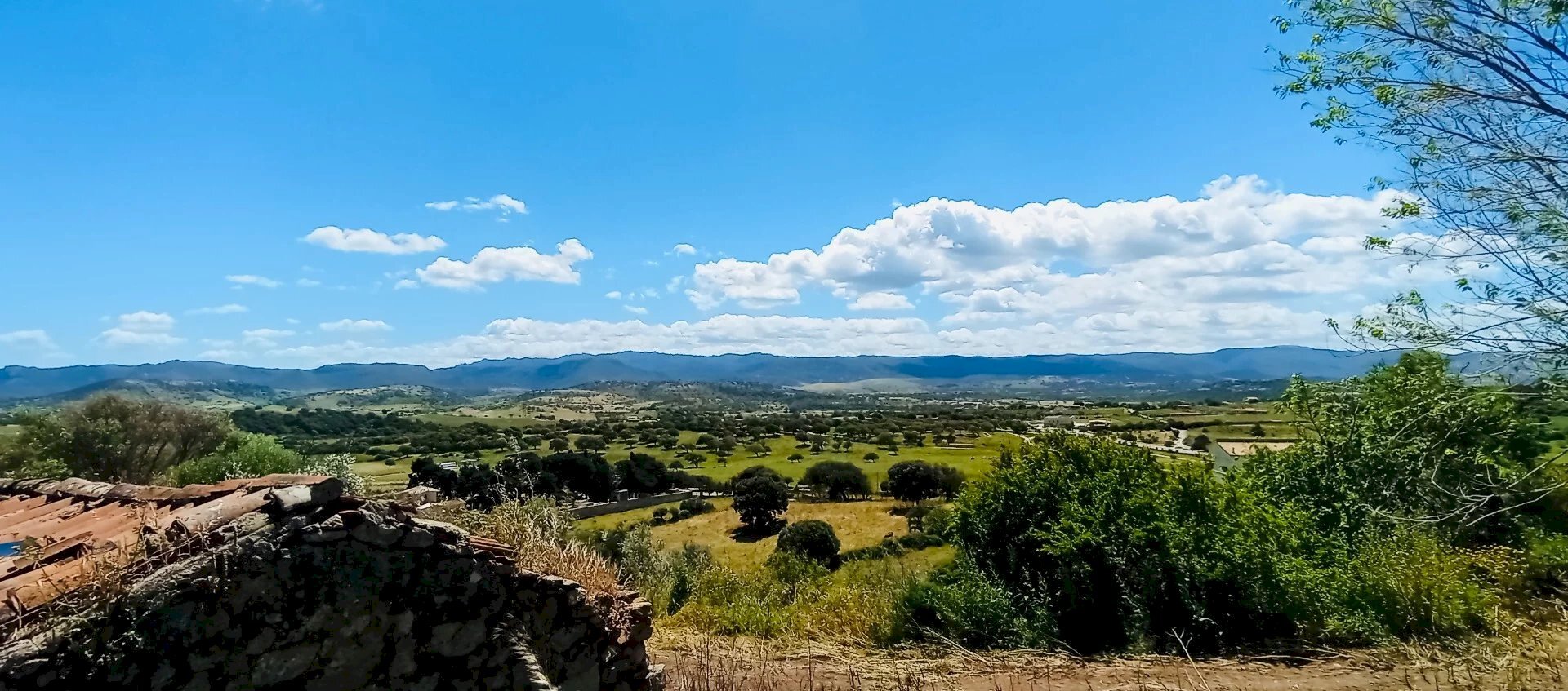 Terreno agricolo Berchidda - foto 3
