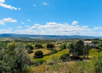 Terreno agricolo Berchidda - foto 1