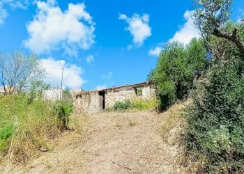 Terreno agricolo Berchidda - foto 2