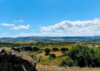 Terreno agricolo Berchidda - foto 3