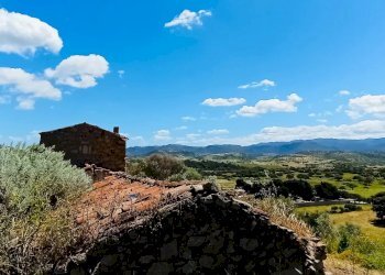 Terreno agricolo Berchidda - foto 4