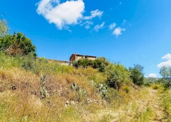 Terreno agricolo Berchidda - foto 6