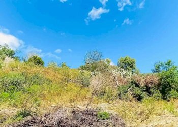 Terreno agricolo Berchidda - foto 8