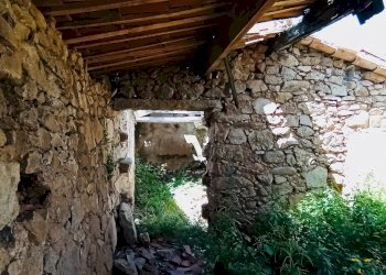 Terreno agricolo Berchidda - foto 9