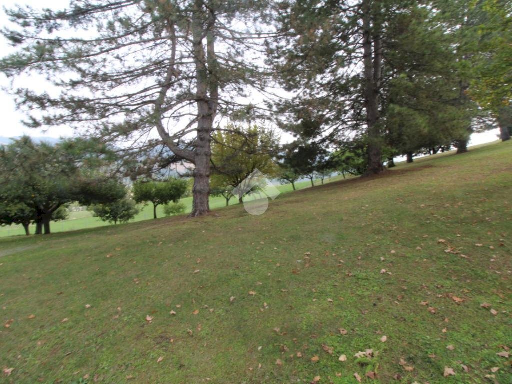 Terreno edificabile Strada Provinciale 61, Langhirano - foto 3