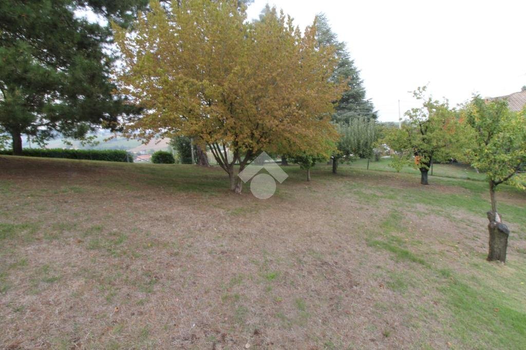 Terreno edificabile Strada Provinciale 61, Langhirano - planimetria 1