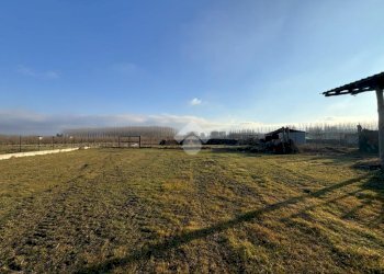 Terreno agricolo Via Centrale, Strambino - foto 19