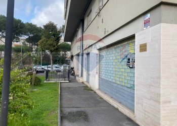 Locale Commerciale Via Pescosolido, Roma (zona Pietralata) - foto 2