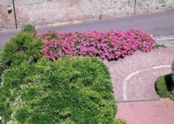 Facciata - Casa indipendente via Castello, 4, Gattico-Veruno - foto 28