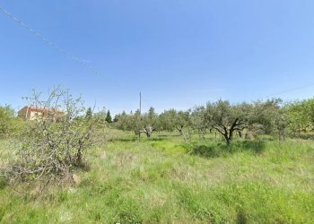 Terreno edificabile Carolei - foto 1