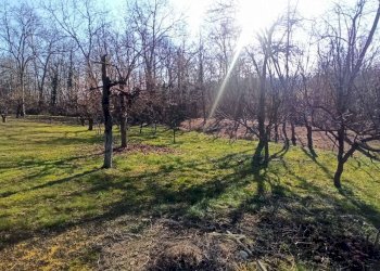 Cascina Strada Orià 41, Carrù - foto 6