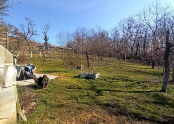 Cascina Strada Orià 41, Carrù - foto 8