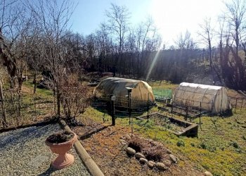 Cascina Strada Orià 41, Carrù - foto 10