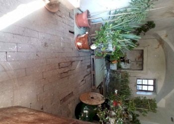 Cascina Strada Orià 41, Carrù - foto 14