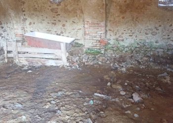 Cascina Strada Orià 41, Carrù - foto 16