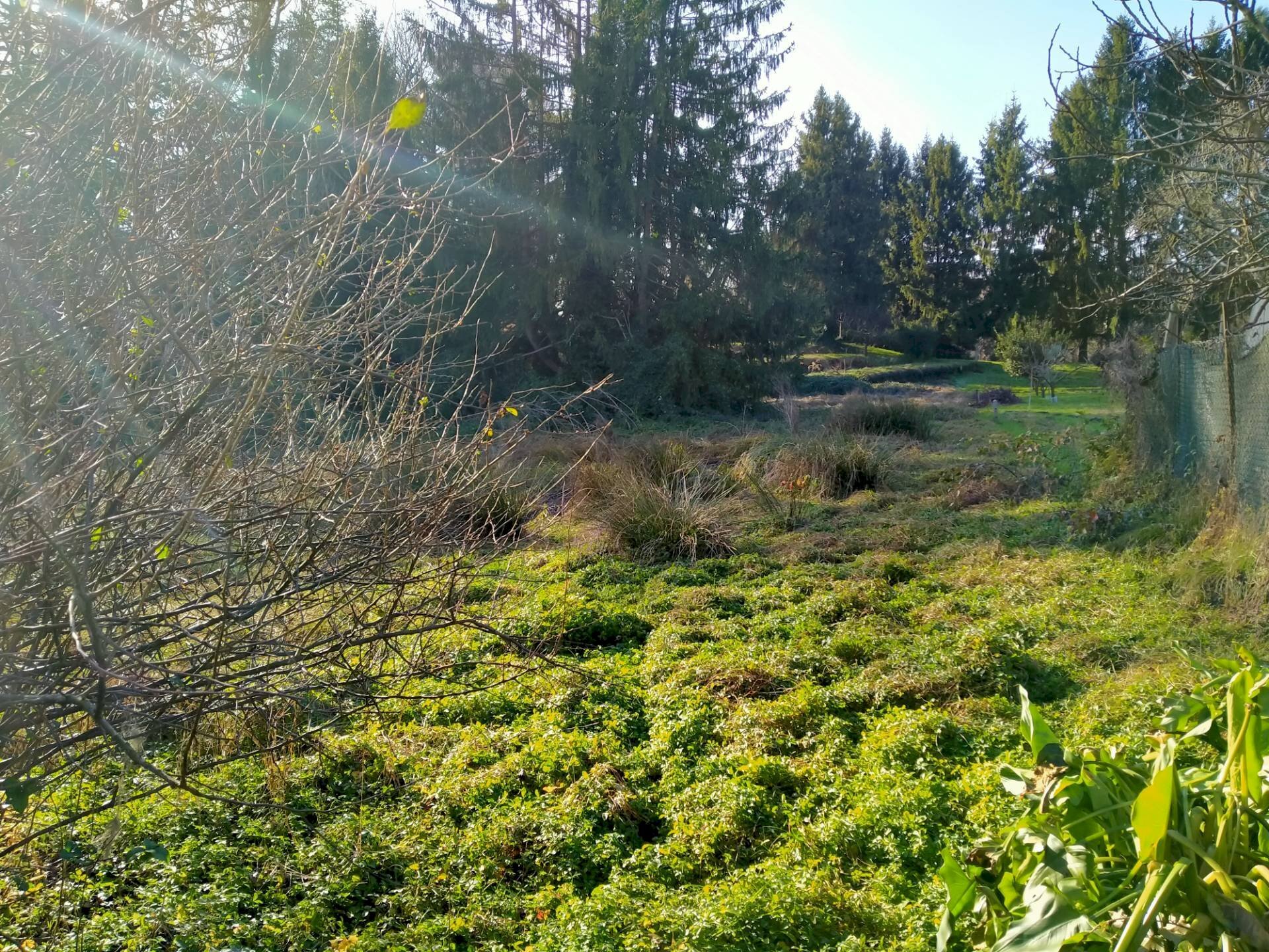 Bilocale casale litta, Casale Litta - foto 2