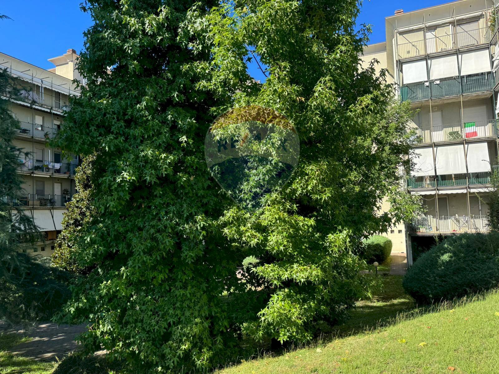 Trilocale Bergamo (zona Longuelo) - foto 1