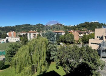 Trilocale Bergamo (zona Longuelo) - foto 3