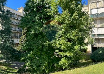 Trilocale Bergamo (zona Longuelo) - foto 8